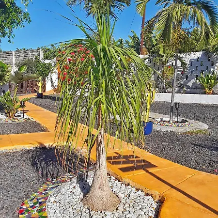 Casa Tajinaste - Perenquén. Alcalá la Real